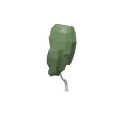 Birch Tree 2